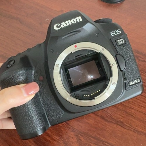 Canon eos mark 1 mp - 5d, ii