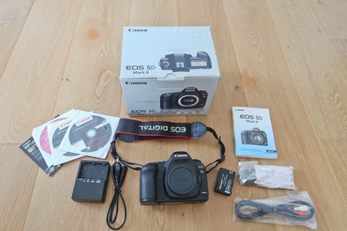 Canon eos mark 21 1mp - 5d,